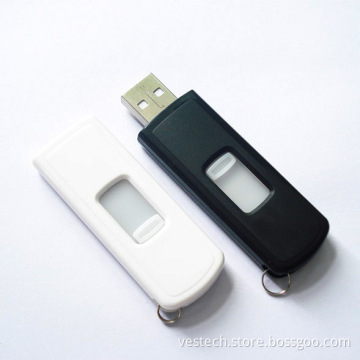 Classical Plastic Push-and-Pull USB Flash Drive